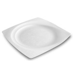 Polypropylene Dishes